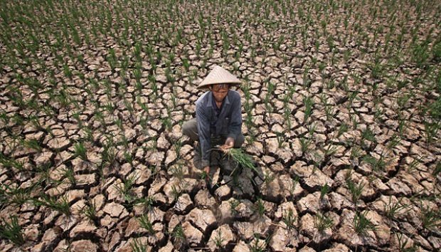 Lebak Kemarau Panjang, Warga  Cikulur Krisis Air Bersih